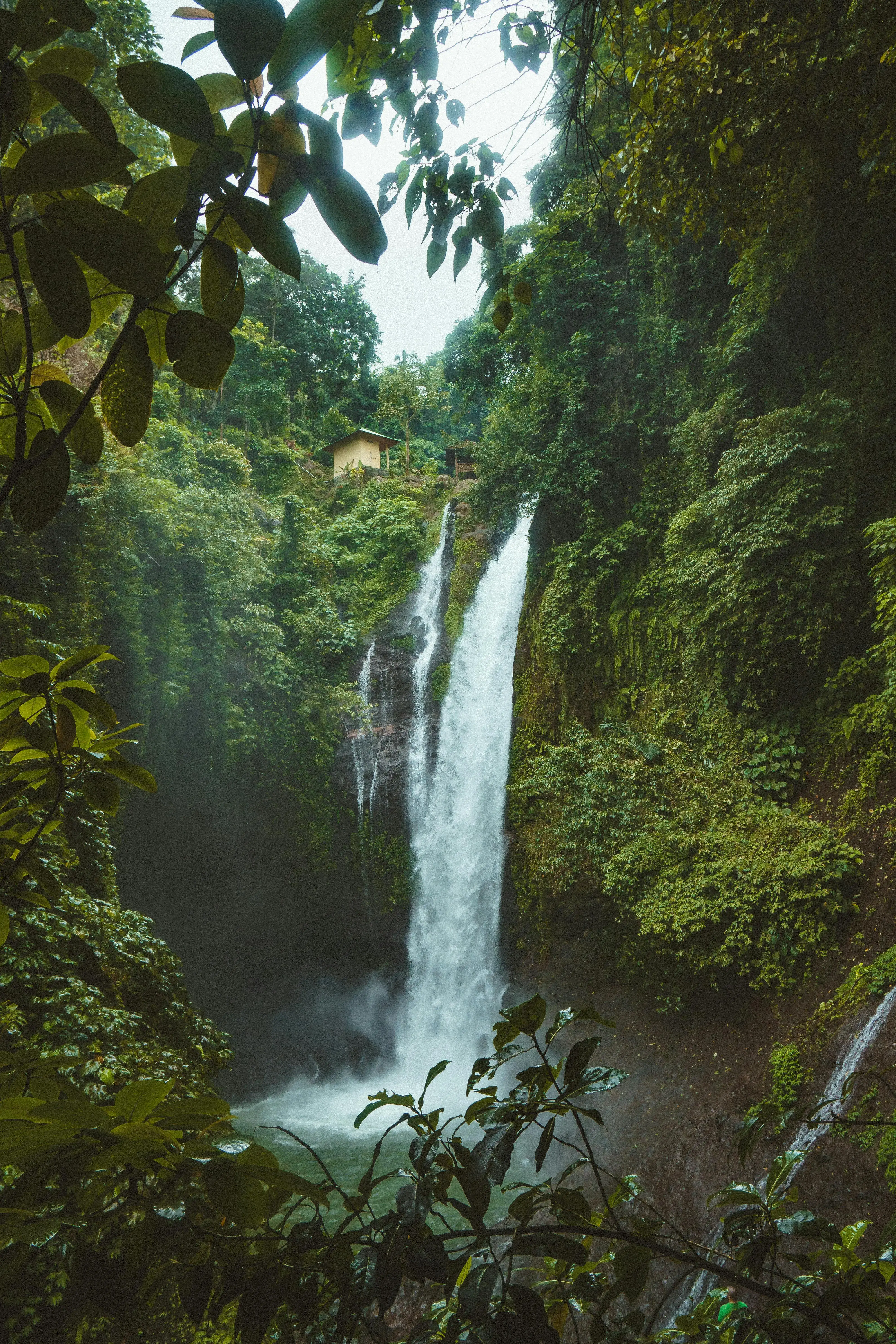 Discover Serene Paths Through Lush Indonesian Landscapes